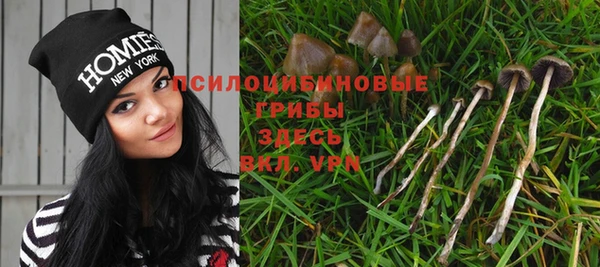 трава Куйбышев