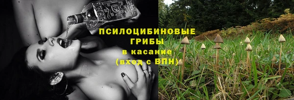 прущие крисы Кукмор