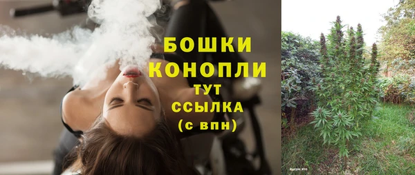 тгк Ладушкин
