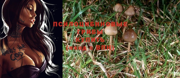 прущие крисы Кукмор