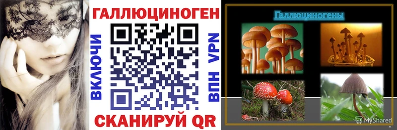 Галлюциногенные грибы мицелий Лесозаводск